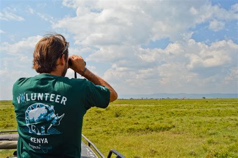 volunteer work animals abroad